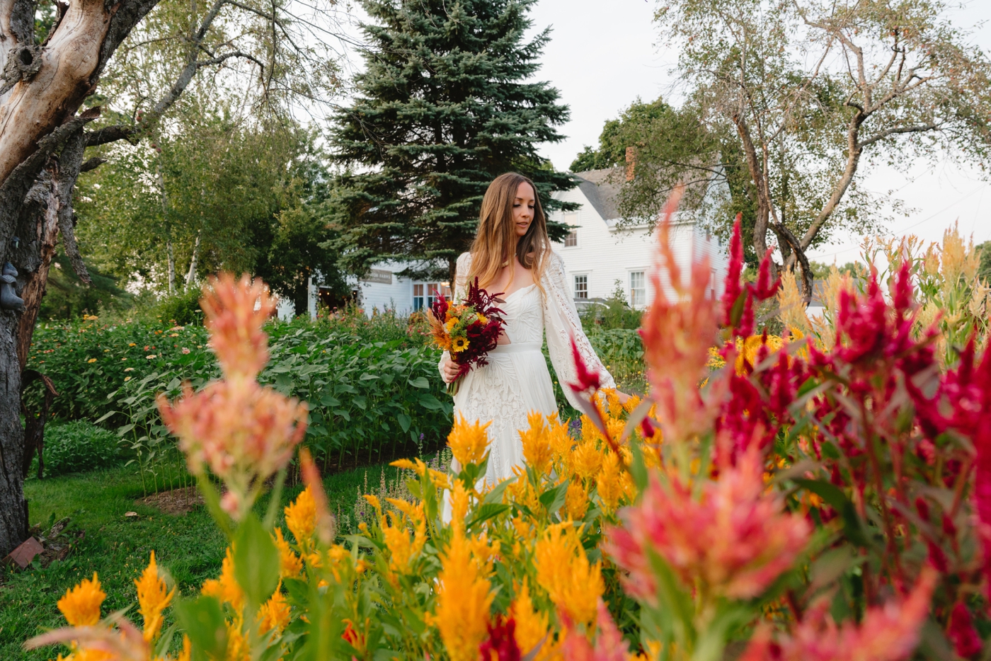 Louvenir - Colorado Wedding Photographer