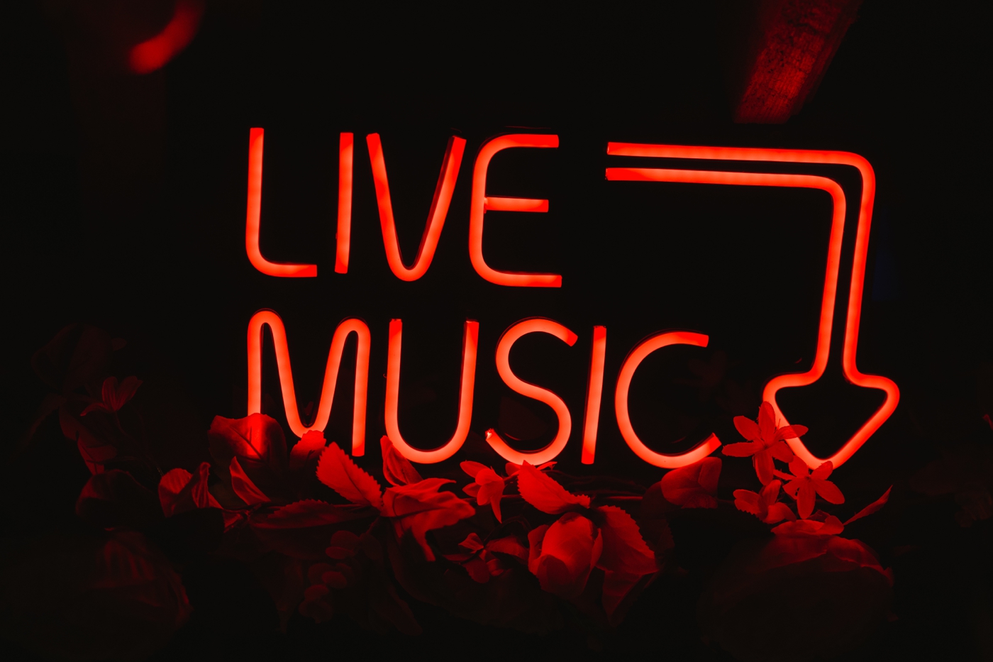 Neon sign at a Maine microwedding